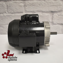 Load image into Gallery viewer, 1/3 HP Motor